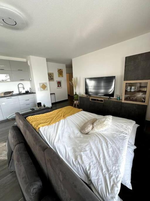 Superbe Appartement Proche De Strasbourg Bischheim Luaran gambar